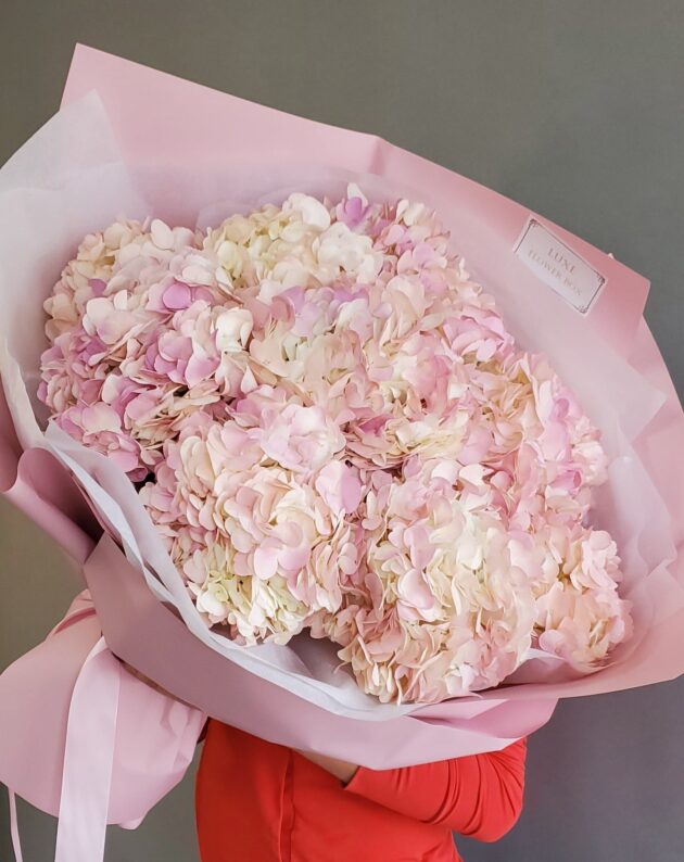 Pink Hydrangea