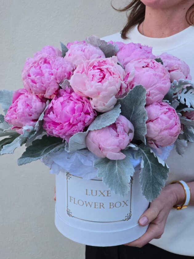 Pink Peonies with Dusty Miller Flower box