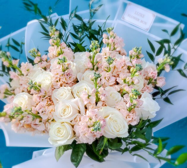 White Playa Blanca Roses and Stock